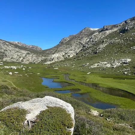 Maisonnette Typique De Village * Bastelica